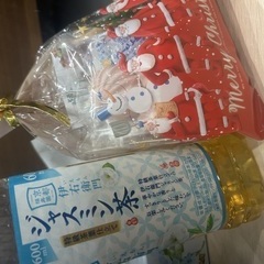 初めてのSMをりくに感謝です！