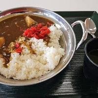 膝から転んだ