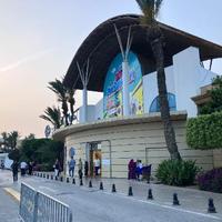 優しさが沁みる