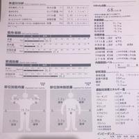 1月〜2月頭の予定