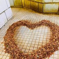 【お題】初めてのチュー