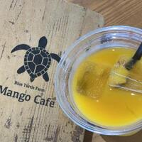 エグゼクティブコーチング