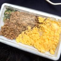 こんにちは