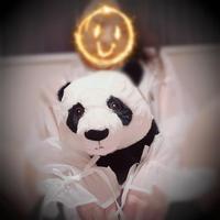 追加しちゃって