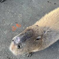 7月までお休み！7月から復帰！