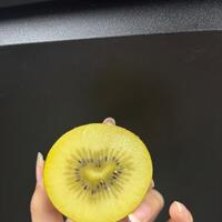 おはようございます！会いにきてください！
