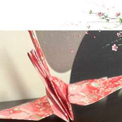 ベイビーつるりん。