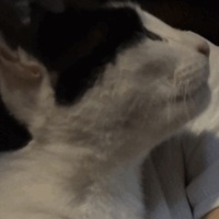 おはよー！