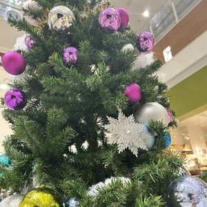 ちょっと早いけど‥