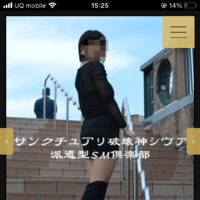 うちの女の子のご紹介、、。