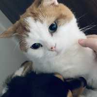 今日は、パタパタしてて、、。