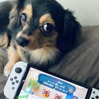 わたしは、はじめました、、。