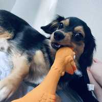 今日は、しておこう、、。
