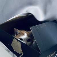今日から、ちゃんと、、。