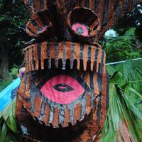 トカラ島のお祭り、、。