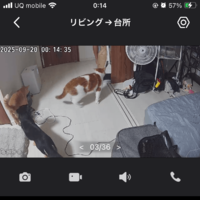 ♡♡渋滞中、、。
