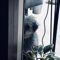 とりあえず、、。