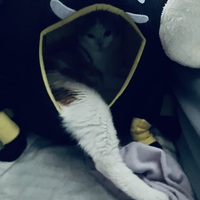 セクシーポーズ、、？