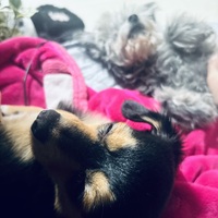 なかなか、、。