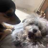 さいきんは、、。