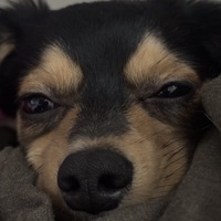 もうとても、、。