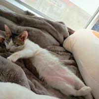 初めまして🙇‍♀️