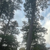 お疲れ様です～✨