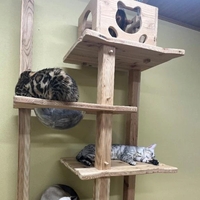 チャットGPT🙆‍♀️