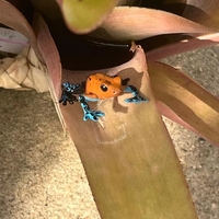 しゅっきん🦖🦖