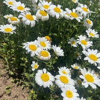 こんにちは