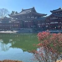 びっくり((((；ﾟДﾟ))))