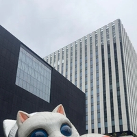 美術館day✨️