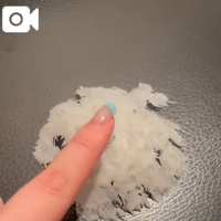 動画速報