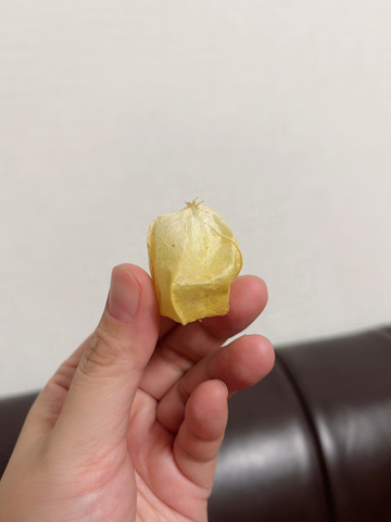 これ、なーんだ？