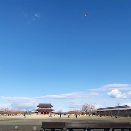 初詣の途中で！