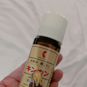 これこれ！