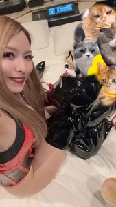 おはよう