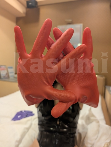 炊事用グローブ