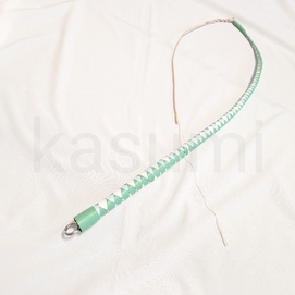 所持鞭一覧更新