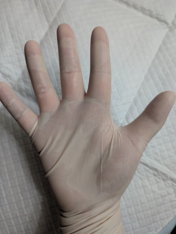 ラテックスグローブ