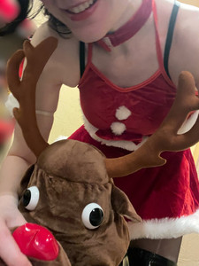 トナカイがやってきた!