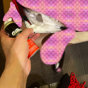 お土産？ありがとうw