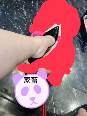 ビンタ・踏みつけ・家畜プレイ