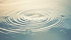 久しぶりにブログ書いた♀