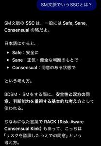 SMの概念