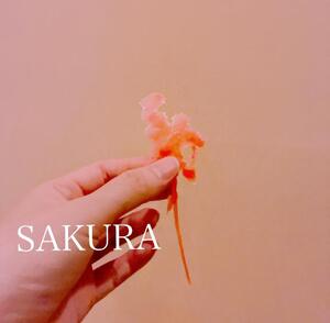 何の形？