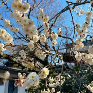 3月もよろしくね