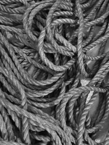 大変だけど落ち着く時間