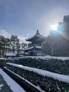 雪とお茶会